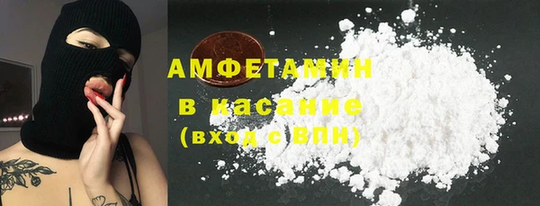 стаф Богданович