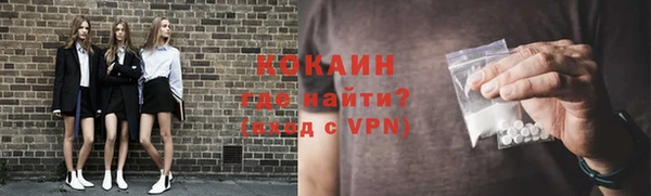 стаф Богданович