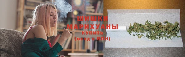 стаф Богданович