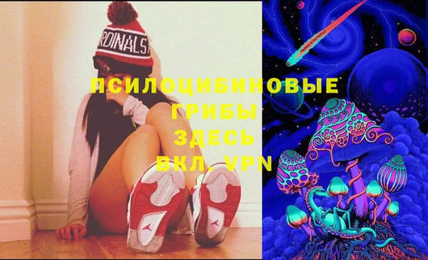 PSILOCYBIN Богородск