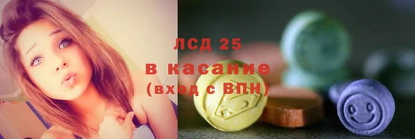 стаф Богданович