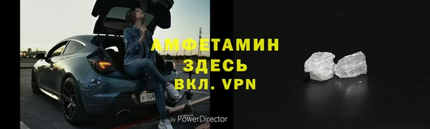стаф Богданович