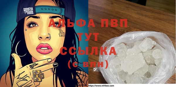 крисы Бородино
