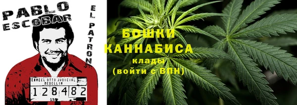 крисы Бородино
