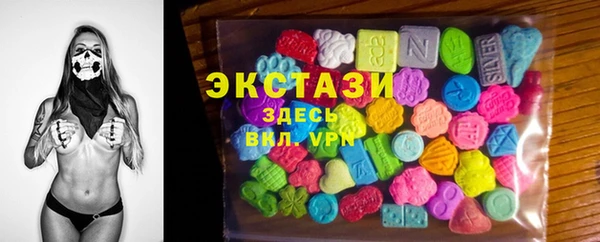стаф Богданович